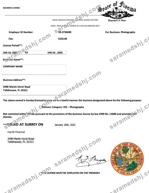 USA Florida business license Word and PDF template